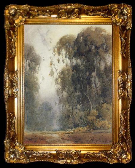 framed  unknow artist Eucalyptus Trees, ta009-2